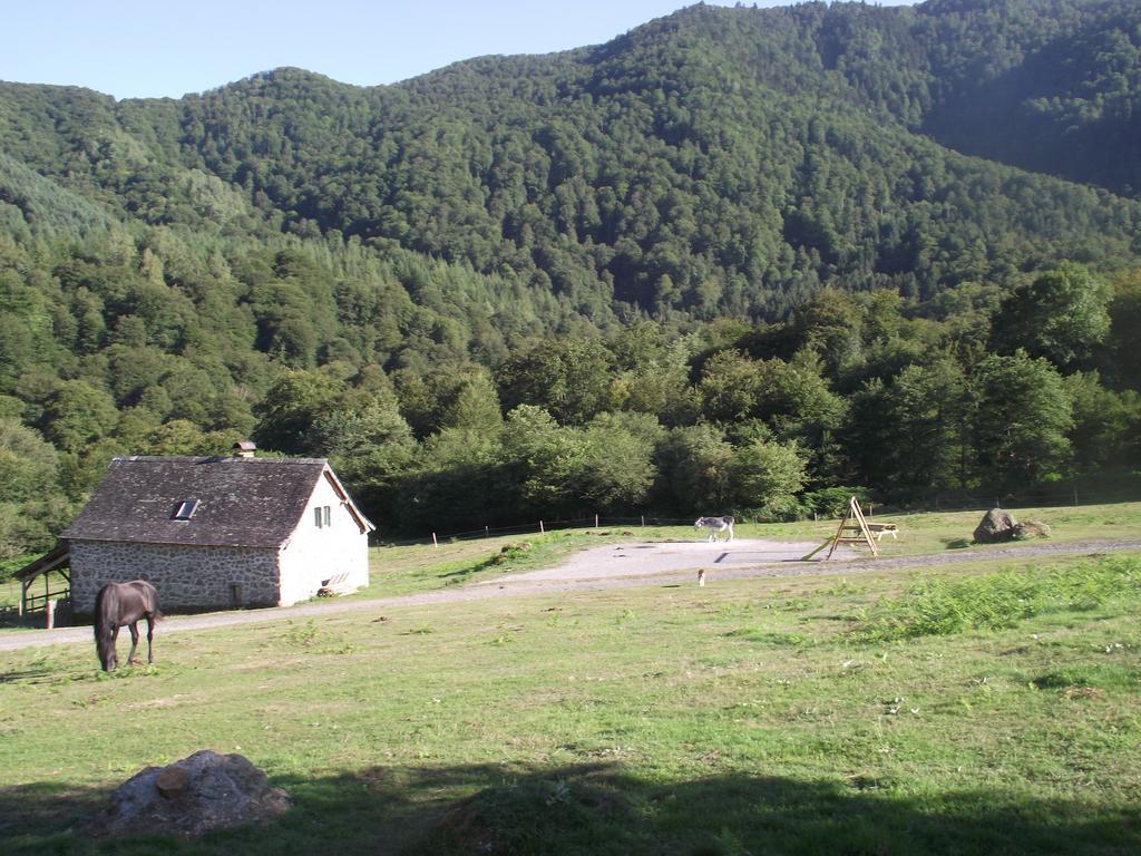 Les Chalets De La Foret D'Issaux Osse-en-Aspe Pokój zdjęcie