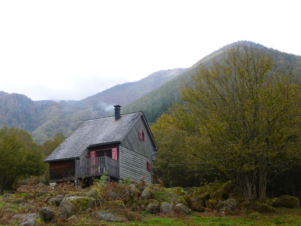 Les Chalets De La Foret D'Issaux Osse-en-Aspe Zewnętrze zdjęcie