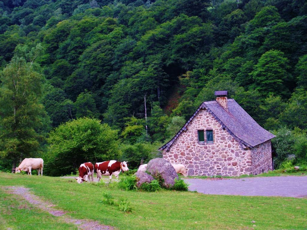 Les Chalets De La Foret D'Issaux Osse-en-Aspe Zewnętrze zdjęcie