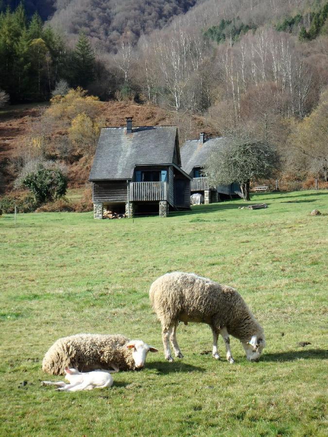 Les Chalets De La Foret D'Issaux Osse-en-Aspe Zewnętrze zdjęcie